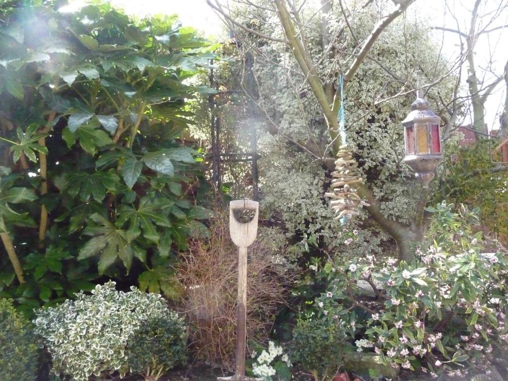 Greenwood Guest House, Γουέιμουθ Εξωτερικό φωτογραφία